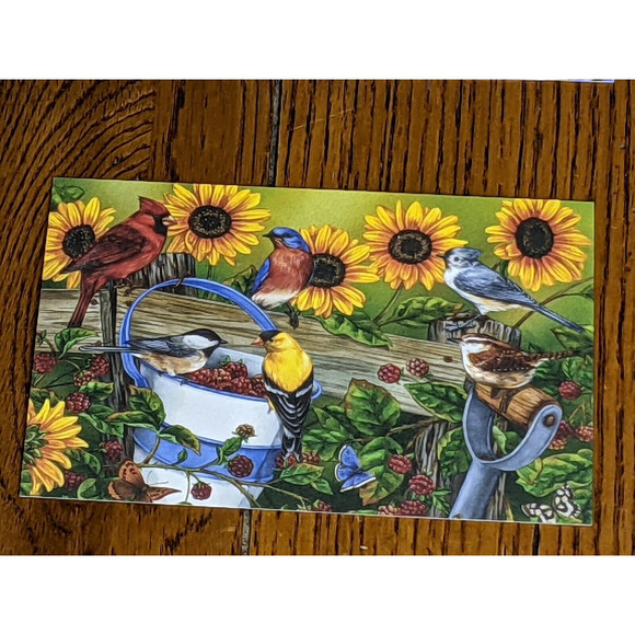 Blank Notes Notecards Set 12 Birds Flowers Fruit Seasons Jane Maday 6 x 4" READ - Picture 4 of 10